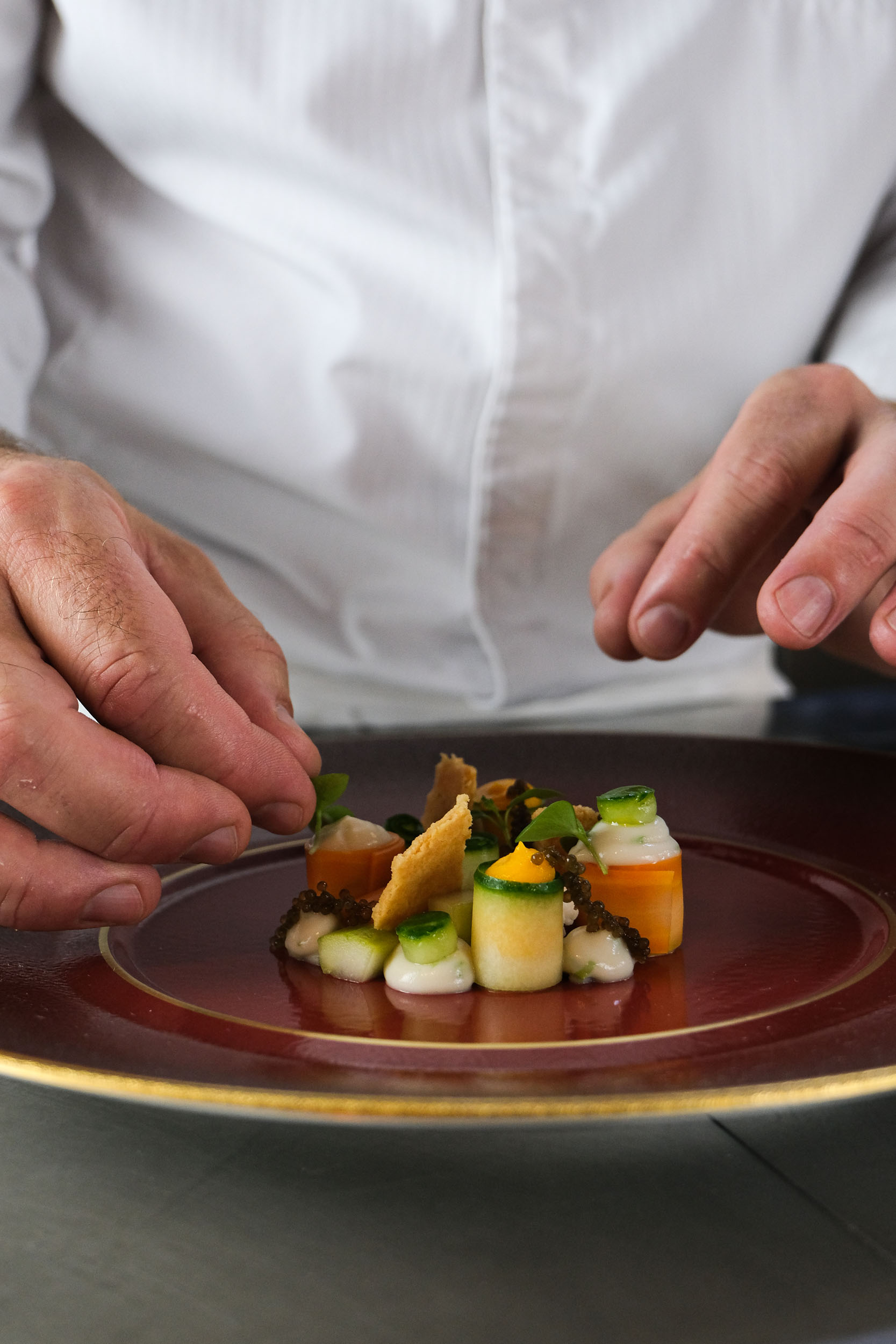 Restaurant gastronomique à Toulouse • L'Écorce par Bertrand Millar